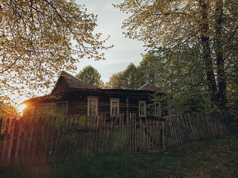 Photograph by Елена Подшевалова