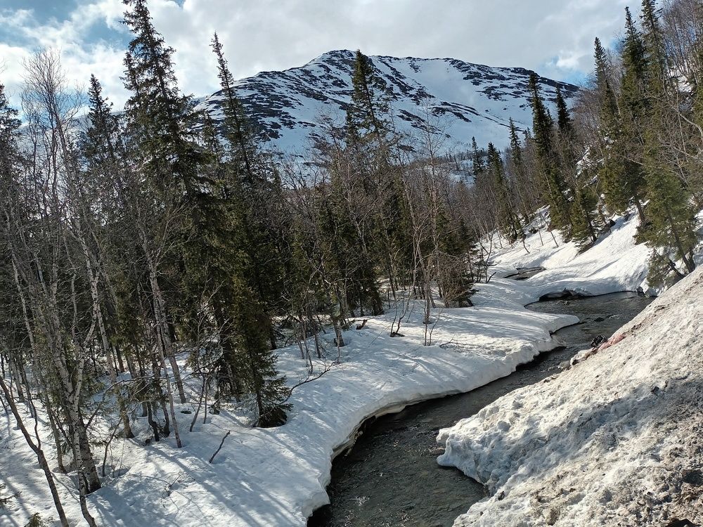Photo #10285774