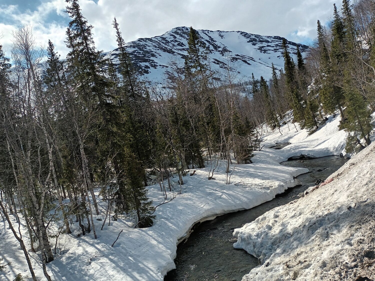 Photo #10285774