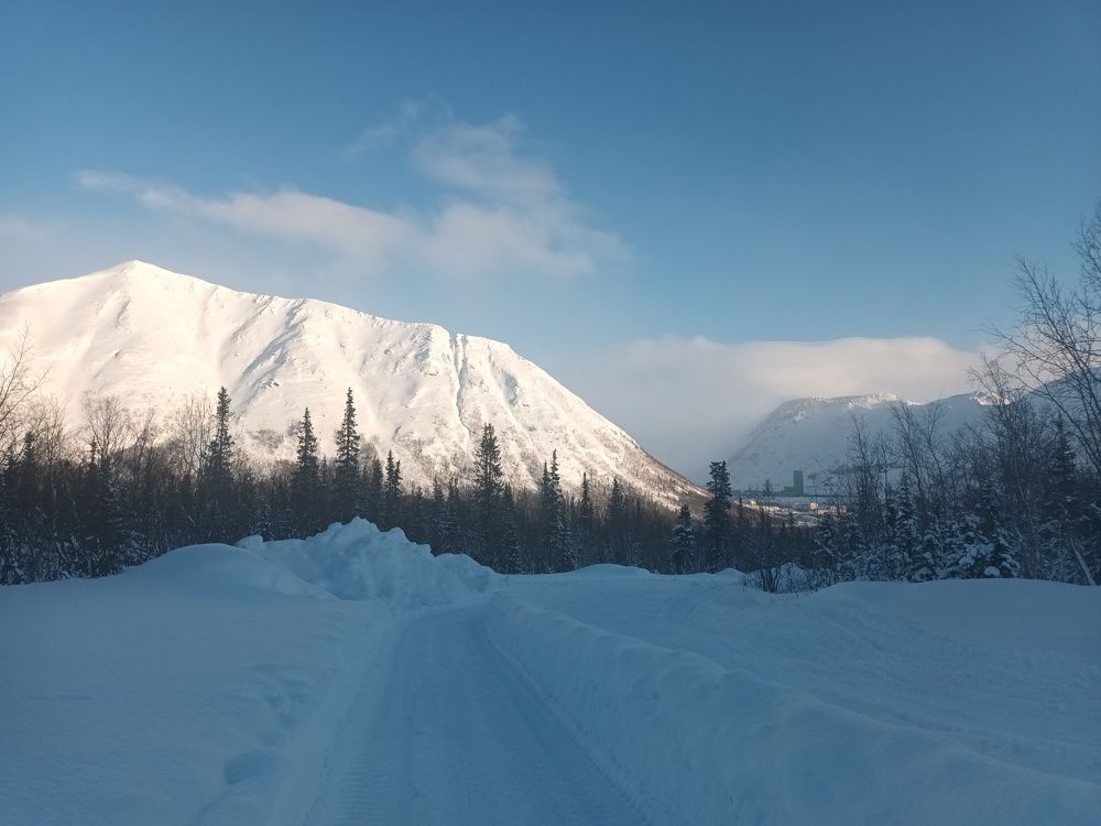 Photo #10285779
