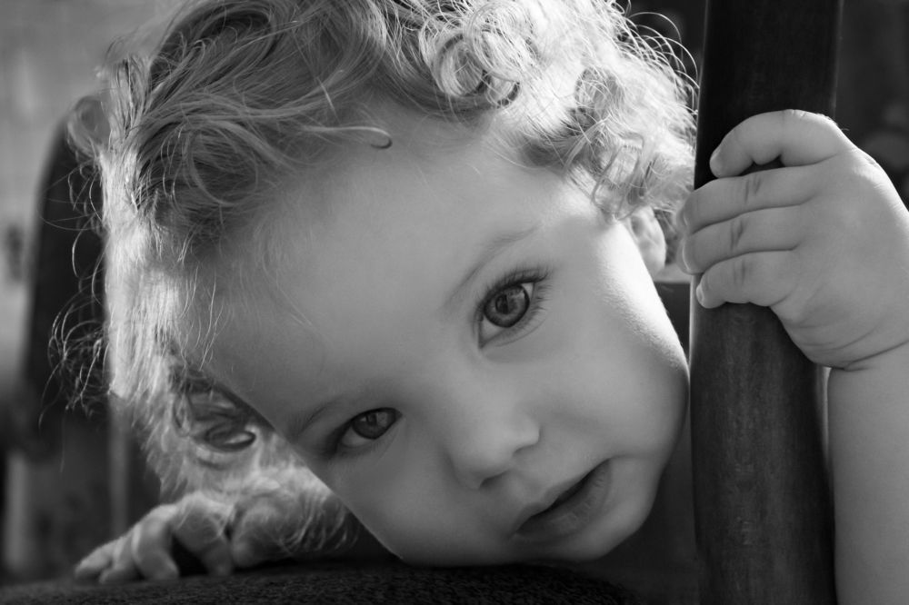 Фотография автора Светлана Кухарчук