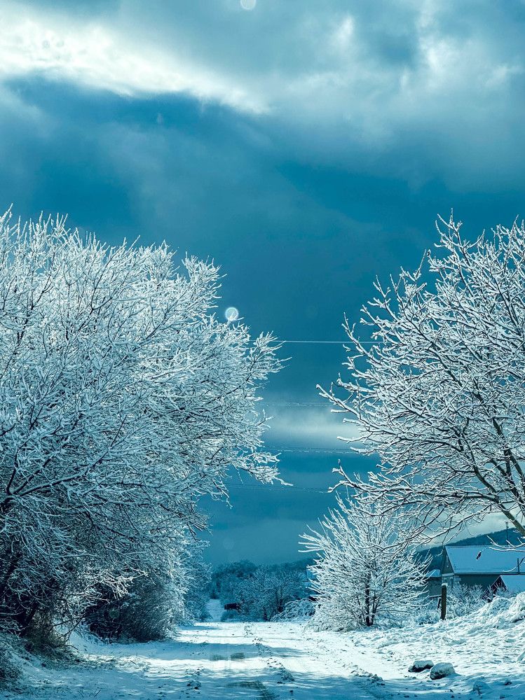 Photograph by Анастасия Соболевская