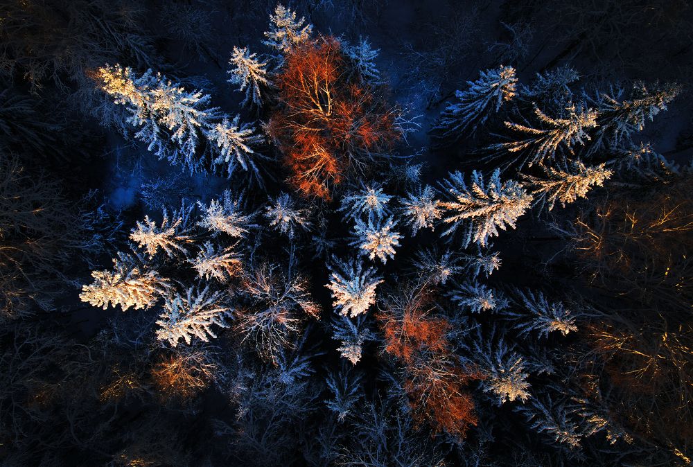 Photograph by Ирина Иванова