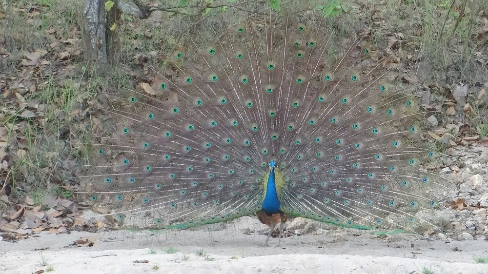 Photograph by SUNISHKA GUHA