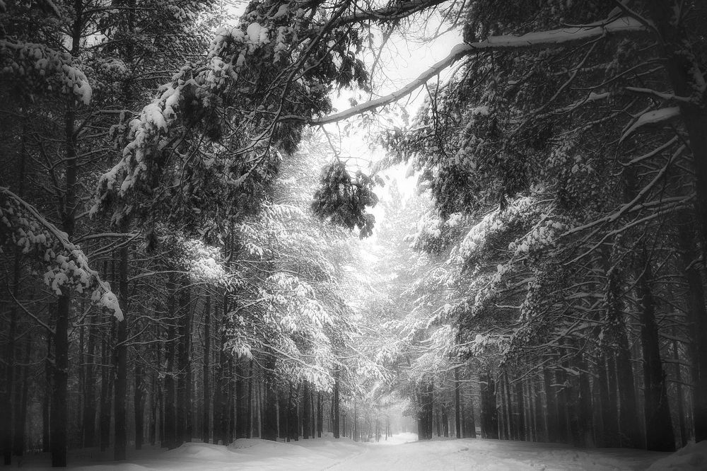 Photograph by Кира Бахвалова