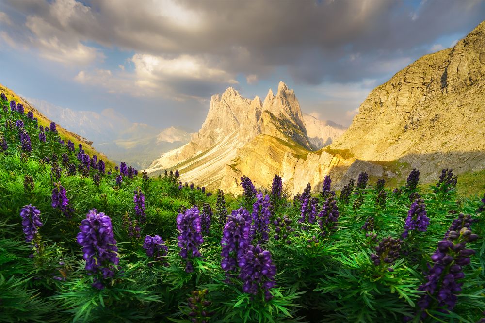 Фотография автора Peter Dužek