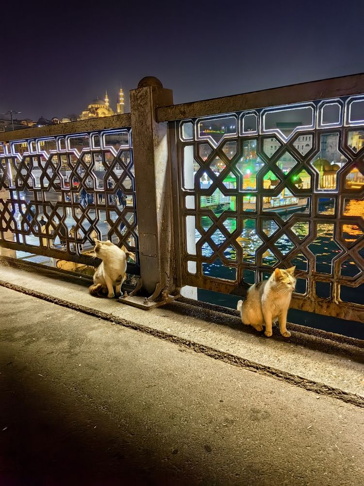 Photograph by Светлана Зыкова