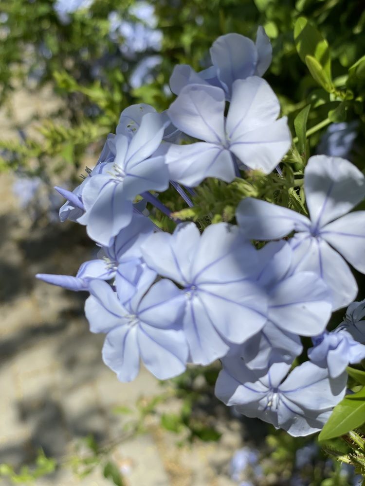 Photograph by Наталья Мутова