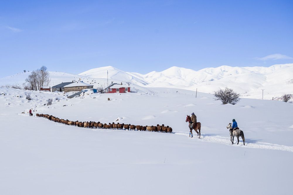 Photograph by MEHMET KAYNAR