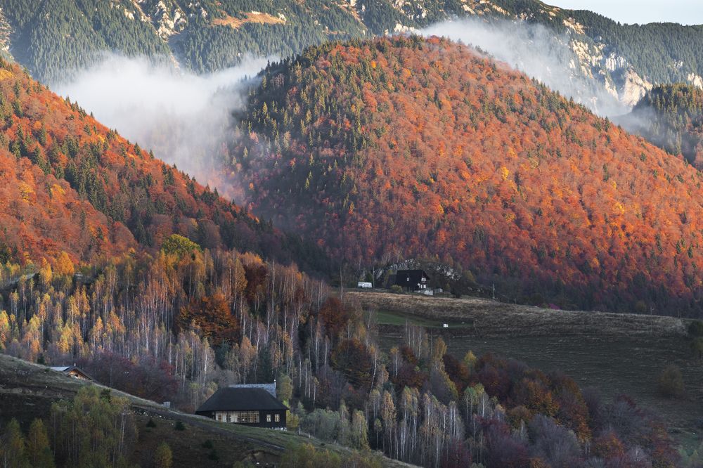 Photograph by Gabriela Vochescu