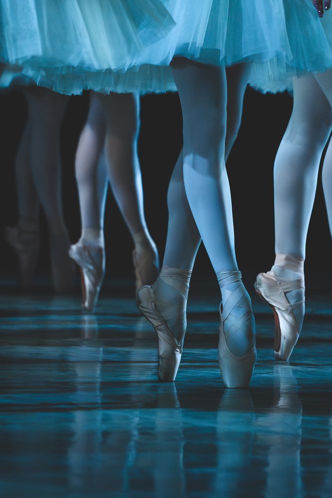 "Лебединое озеро"