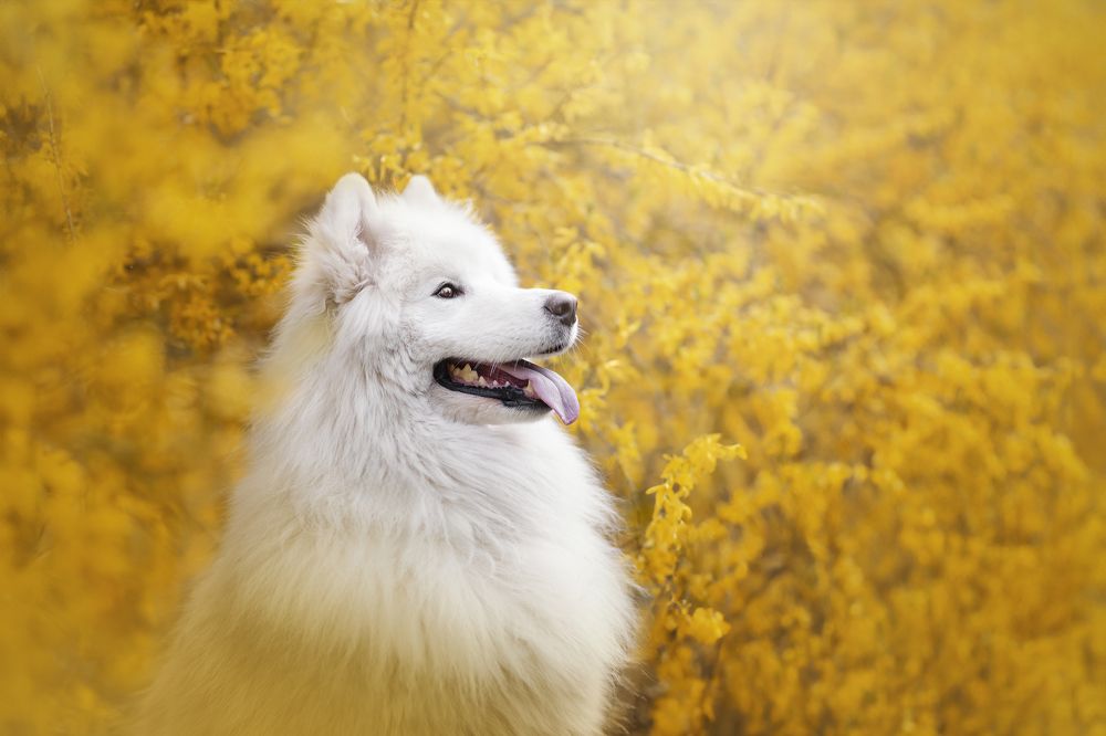 Фотография автора Rut Casanellas