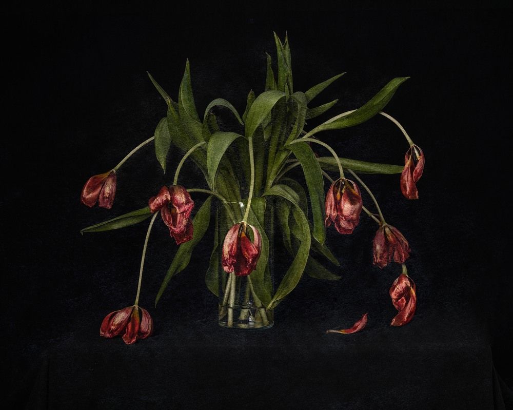 Photograph by Acrement Valentina