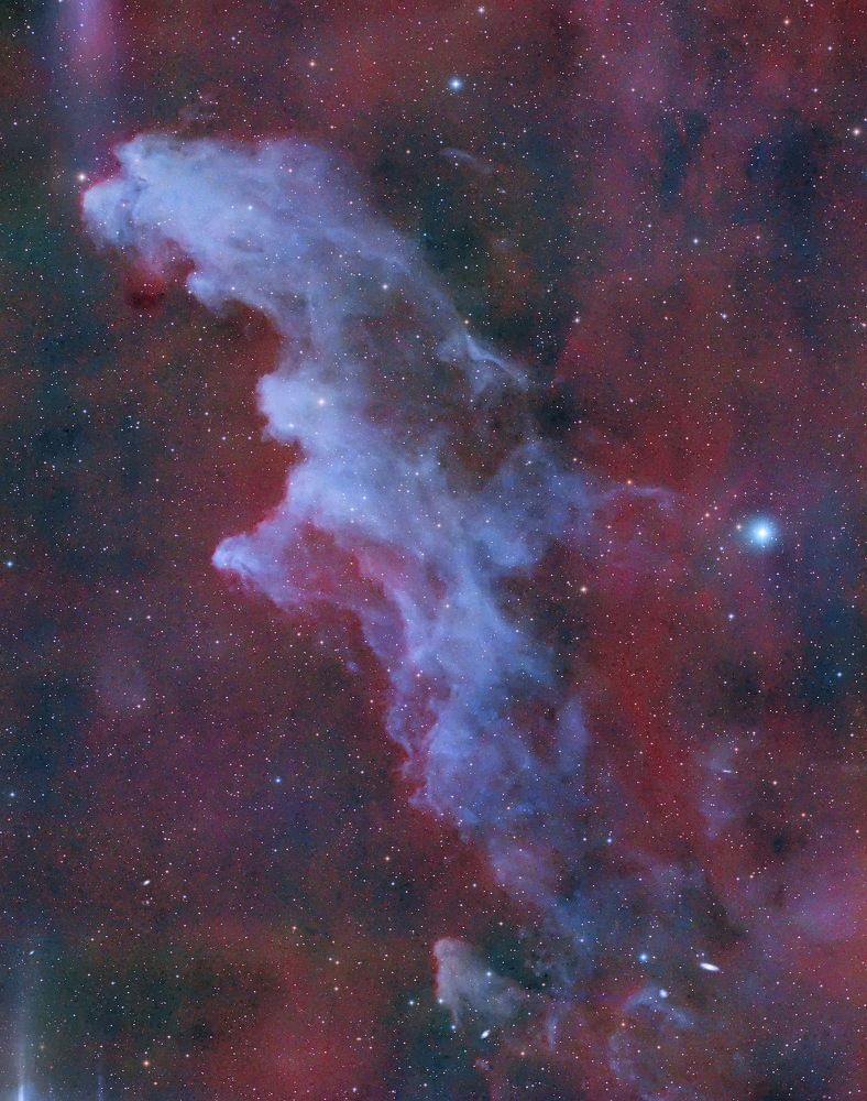 Photograph by trinh phuc hong