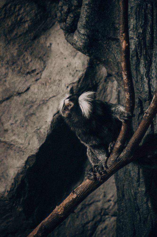 Photograph by Алена Менщикова