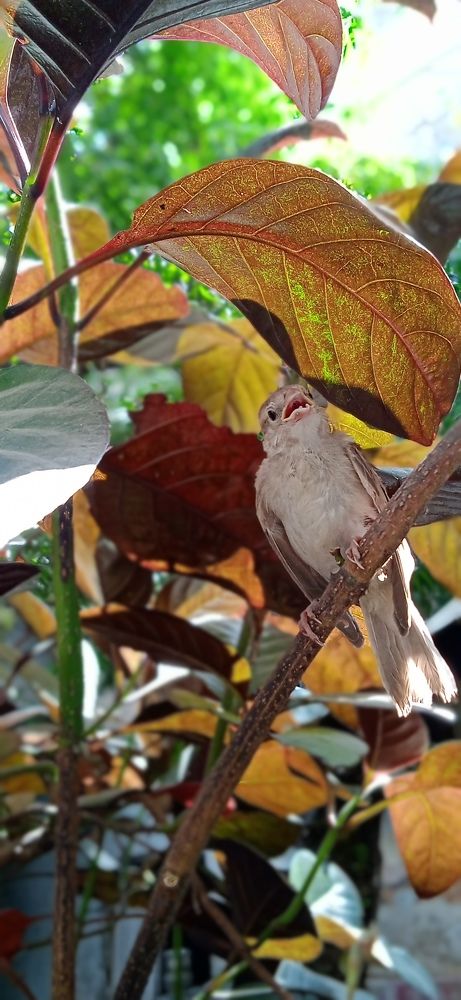 Photograph by Yasha Akhtar