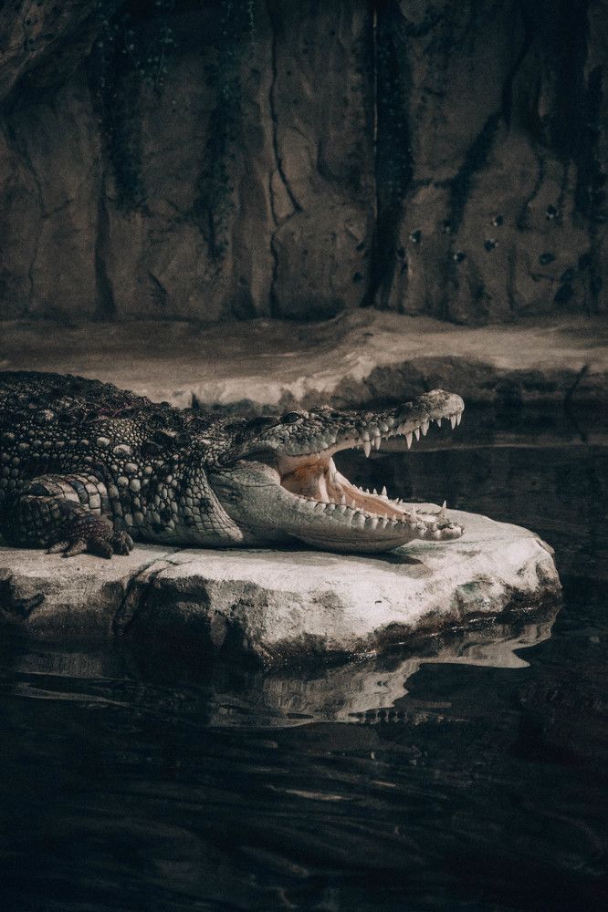 Photograph by Алена Менщикова