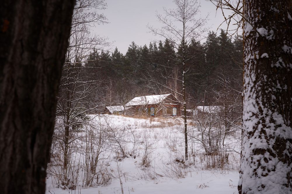 Photograph by Александр Мещеряков