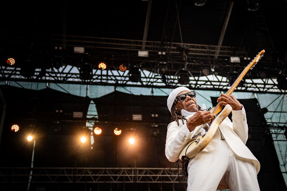 NILE RODGERS