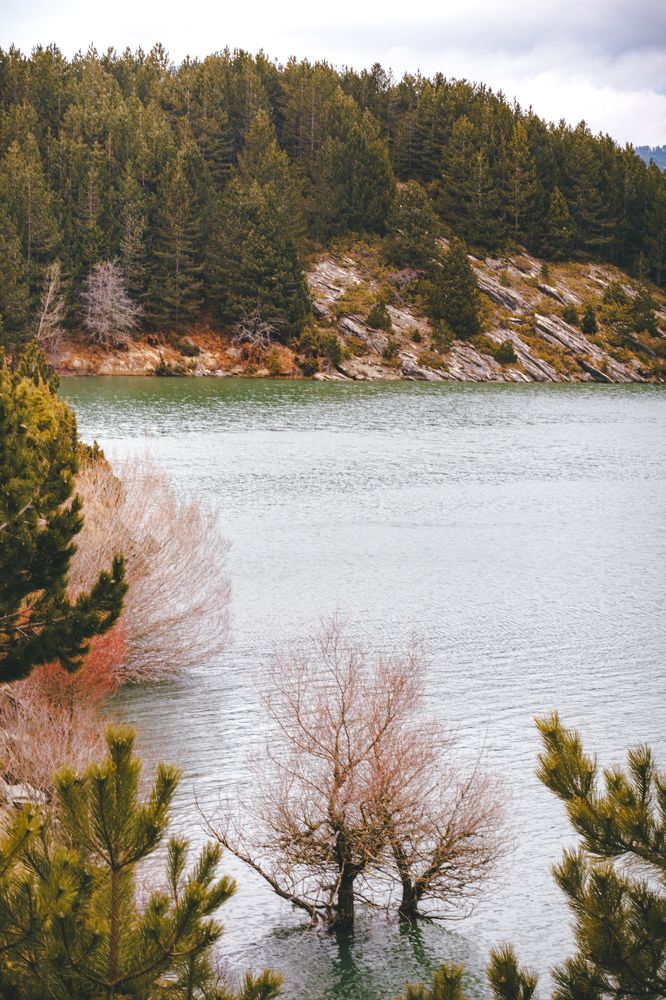 Фотография автора Vasilhs kolios