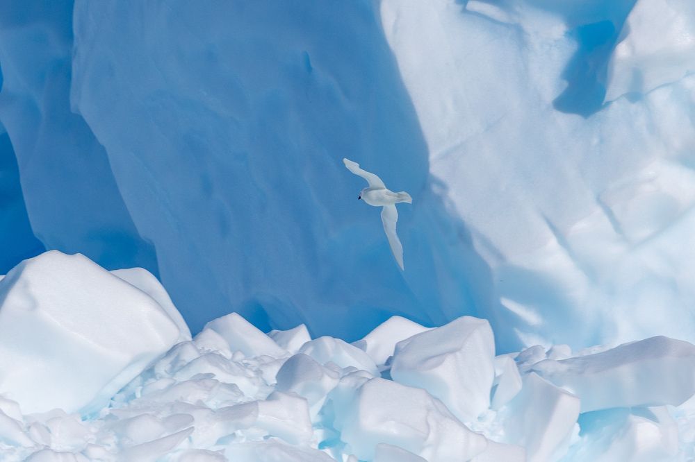 Photograph by Сергей Кошкин