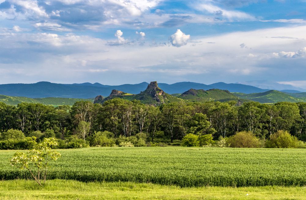 Photograph by Alex Kalpus