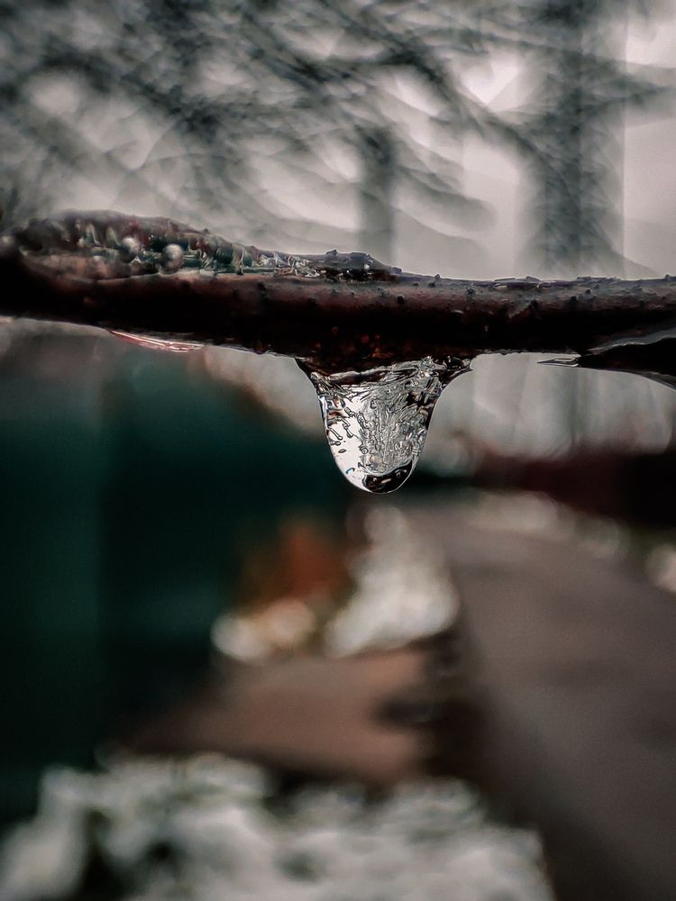 Photograph by Сергей Петров