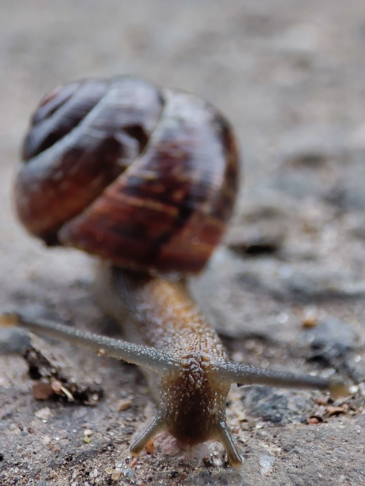 Photograph by Сергей Петров