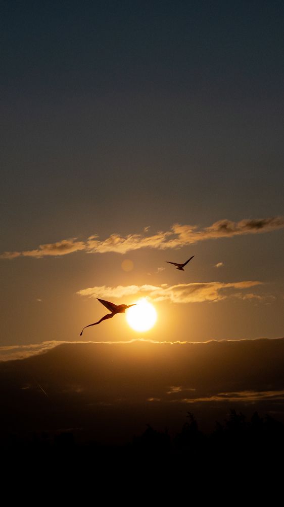 Photograph by Сергей Андреев
