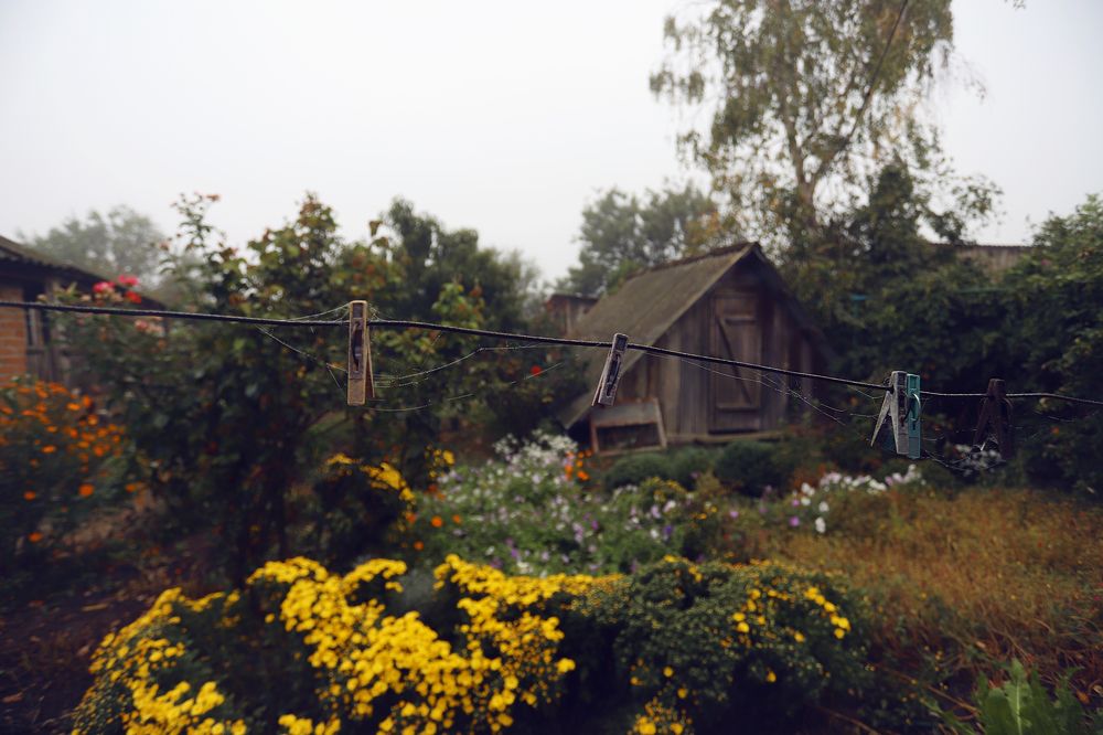 Photograph by Полина Бархатова