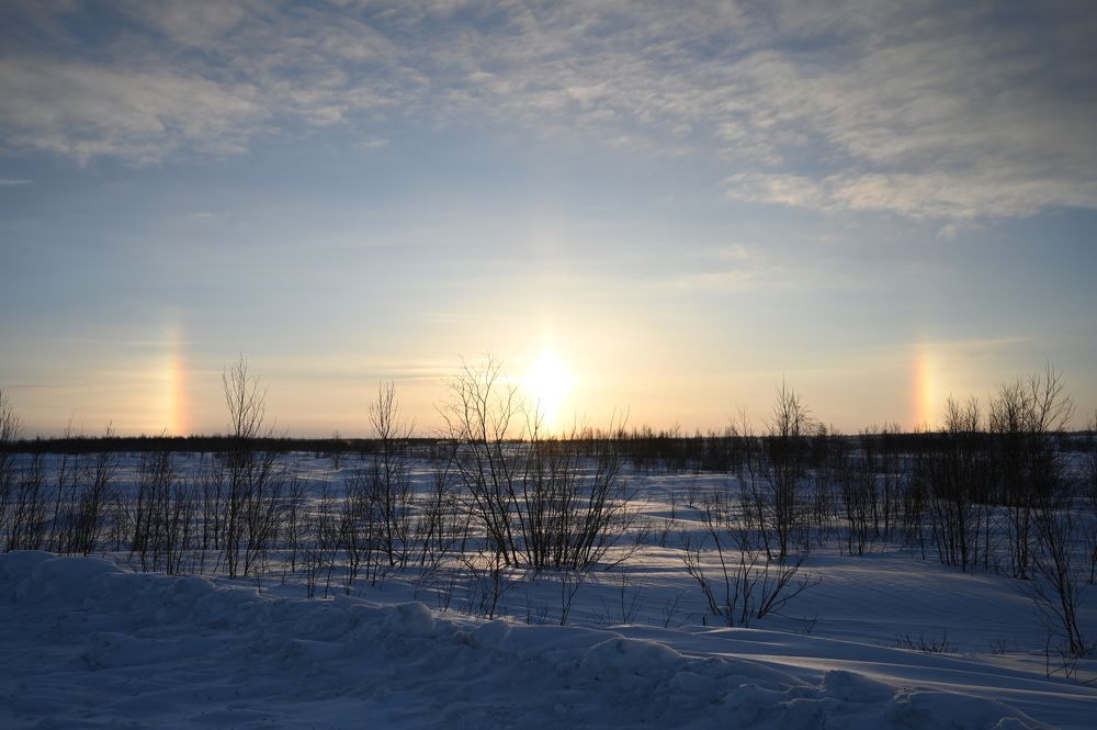 Северное гало