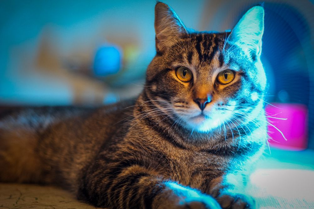 Photograph by Синицын Дмитрий