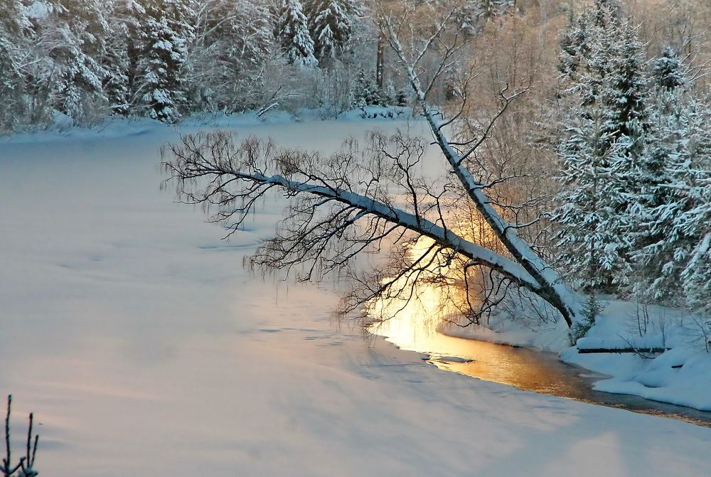 Photograph by Сергей Петров