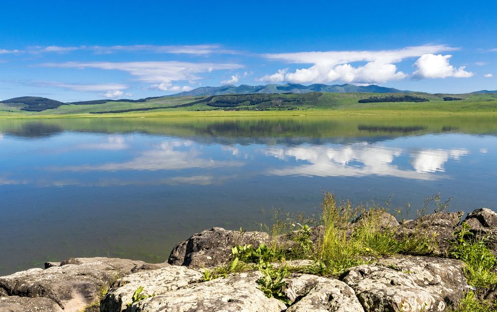 Photograph by Alex Kalpus