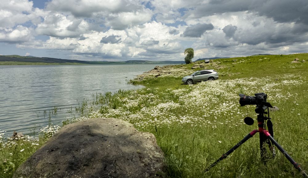 Photograph by Alex Kalpus