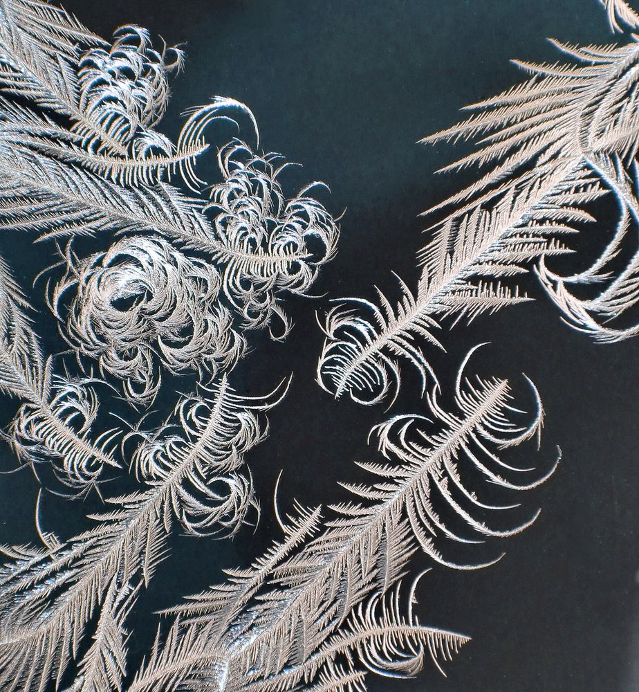 Photograph by Сергей Петров