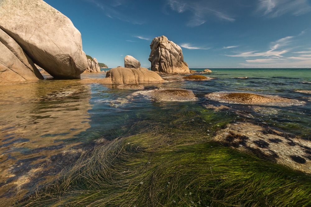 Фотография автора Рита Науменко