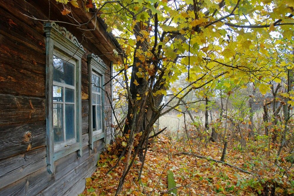 Photograph by Александр Новиков