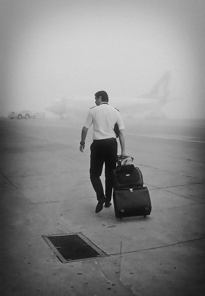 Фотография автора Елена Лаврова