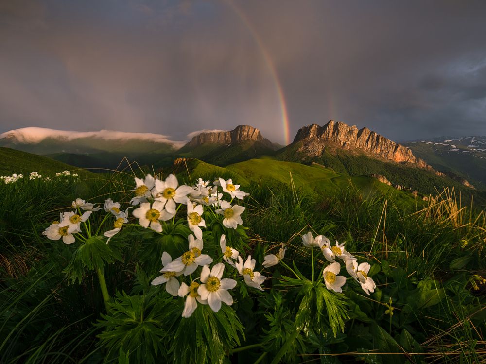 Photograph by Мысливцев Николай