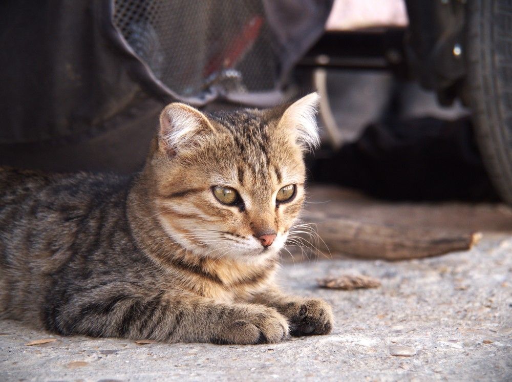 Photograph by Абдурахманов Магомед