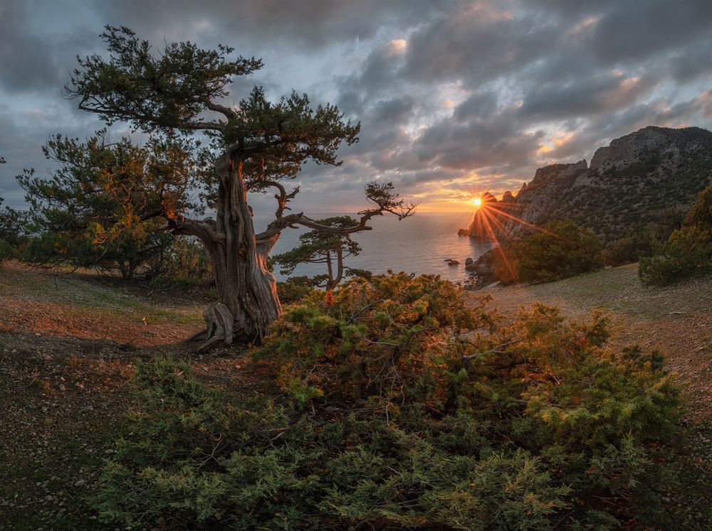 Photograph by Мысливцев Николай