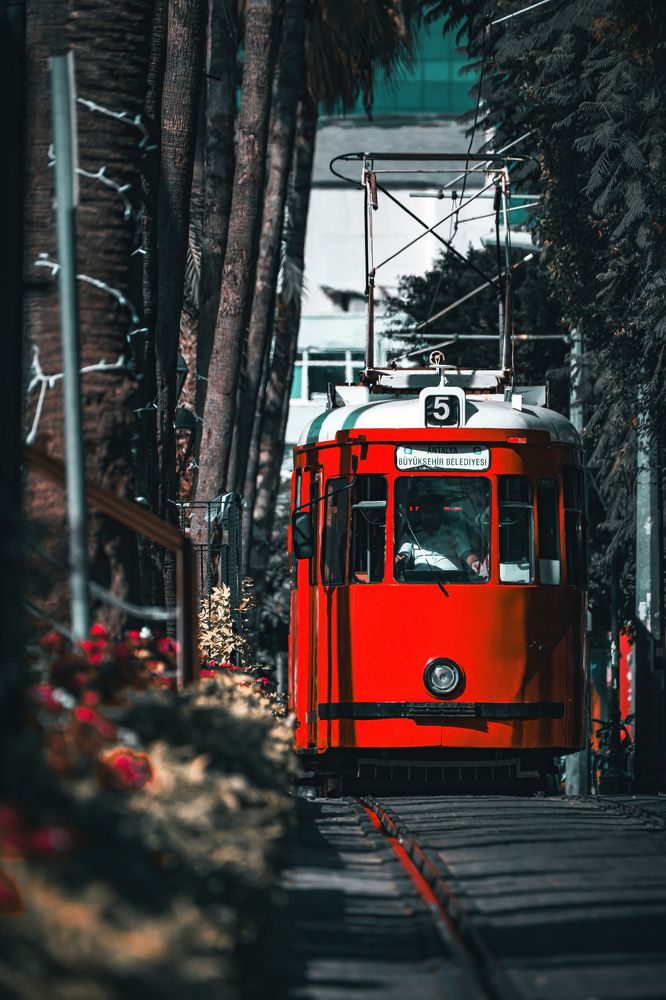 Фотография автора Oleg Gurev