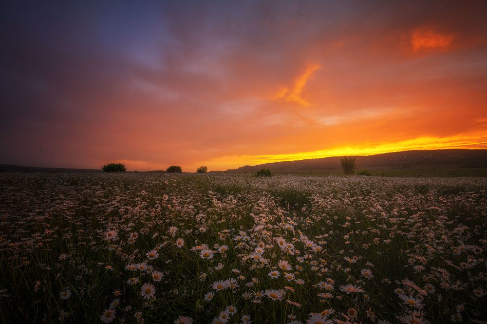 Photograph by Наташа Фирсова