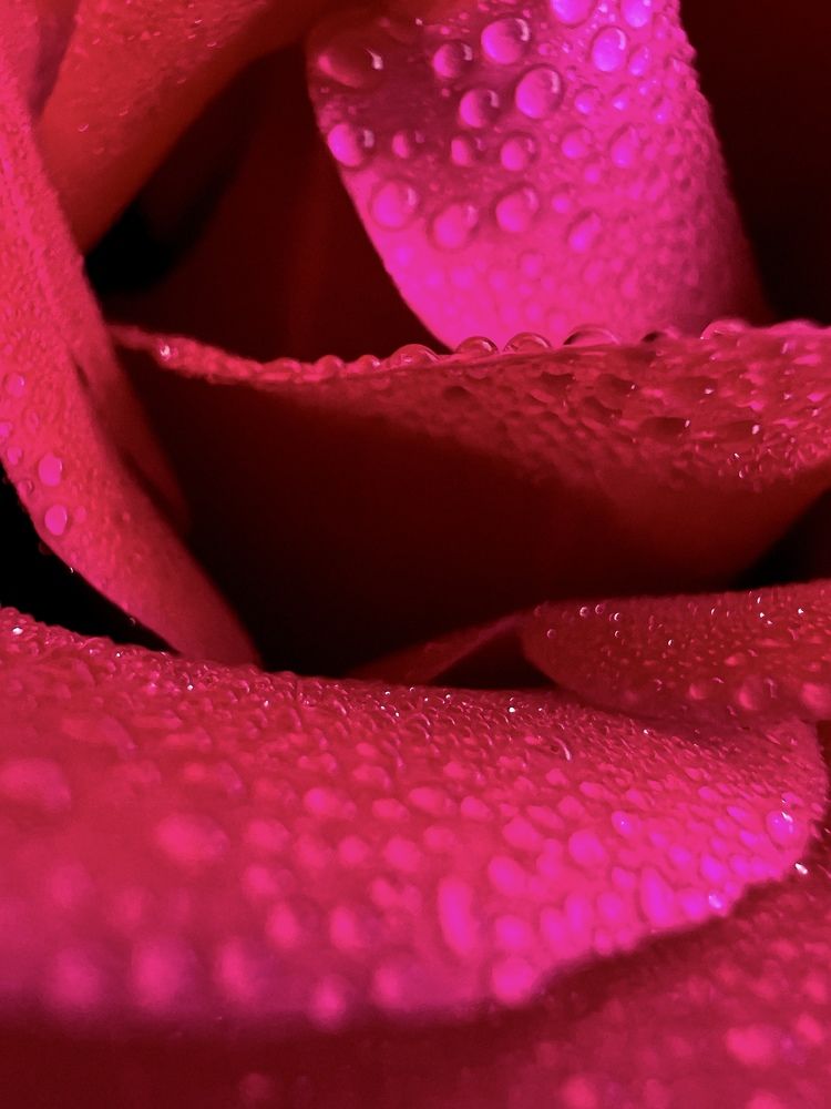 Photograph by Татьяна Зенина