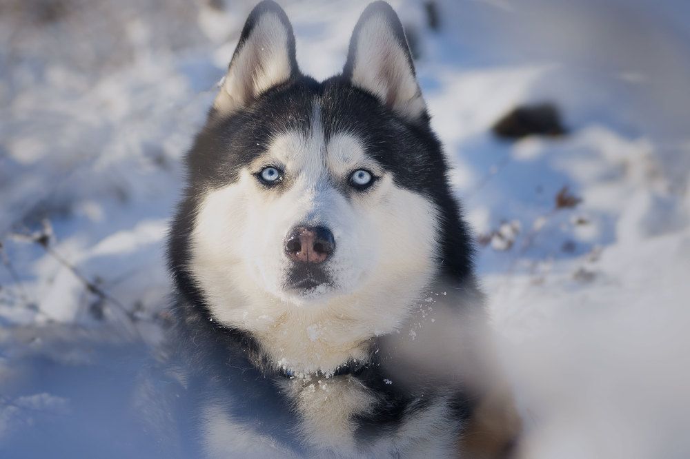 Photograph by Наташа Фирсова