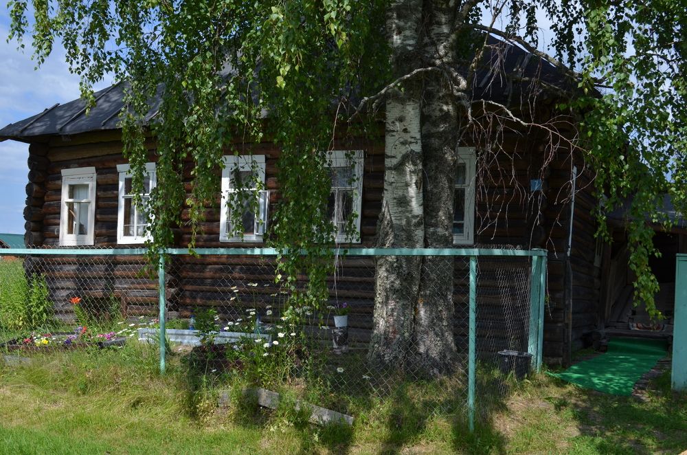 Photograph by Елена Курзенёва