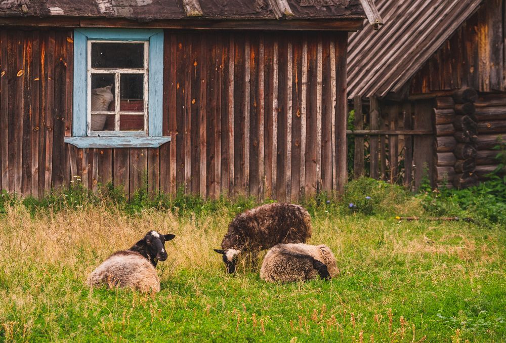 Photograph by Мария Илларионова