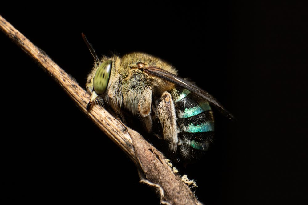 Photograph by Tharindu Gunarathna