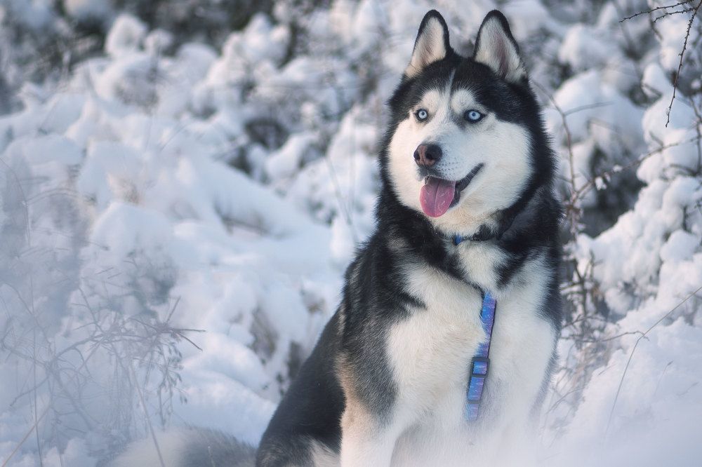 Photograph by Наташа Фирсова